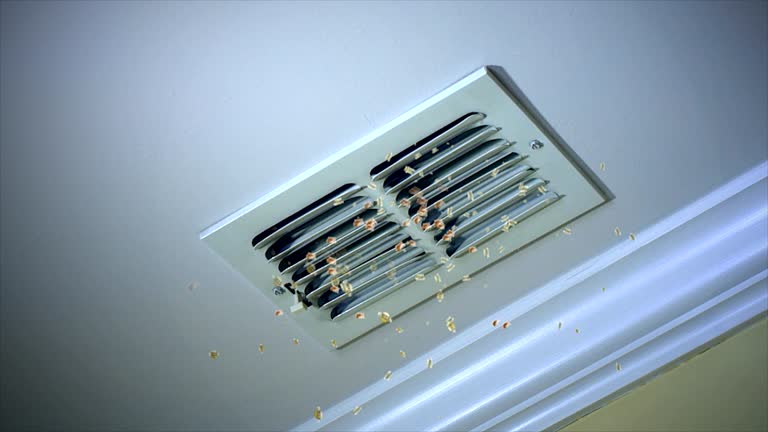 Best Residential Air Duct Cleaning  in Mount Vernon, NY