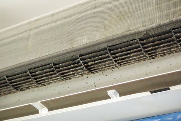 Best Affordable Air Duct Cleaning  in Mount Vernon, NY